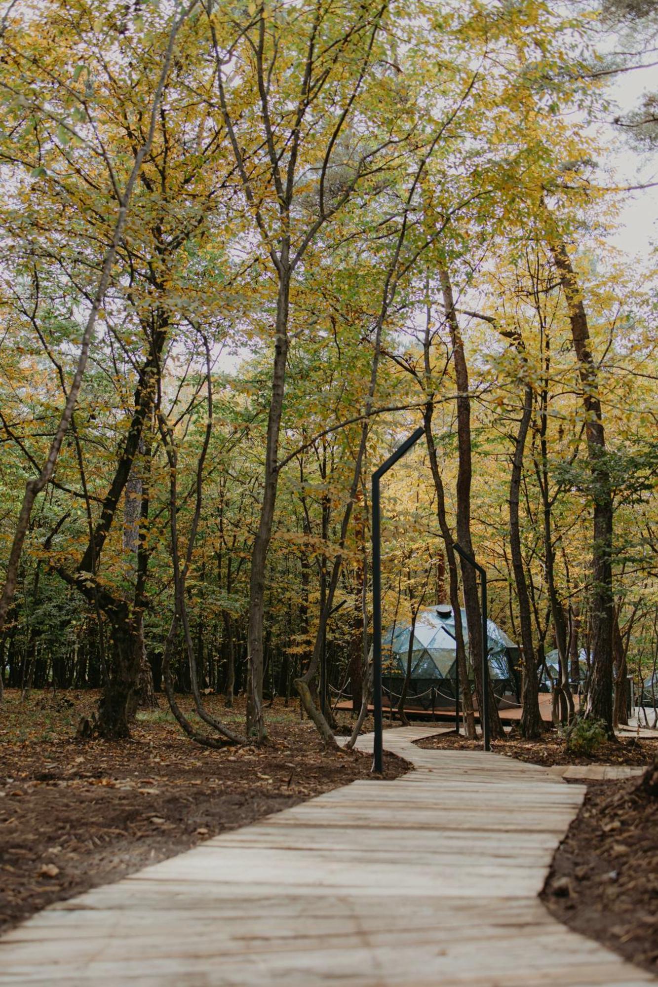 Dream Park Ξενοδοχείο Gyulagarak Εξωτερικό φωτογραφία